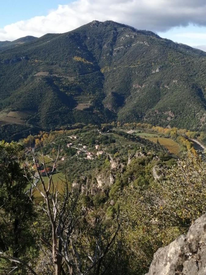 Hébergement de vacances Les Violettes Mons (Herault)